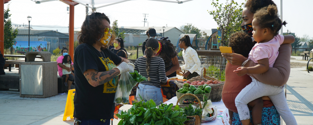 farm stand zizi