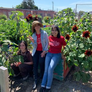 Urban Tilth » 2020 Wrap up at RHS